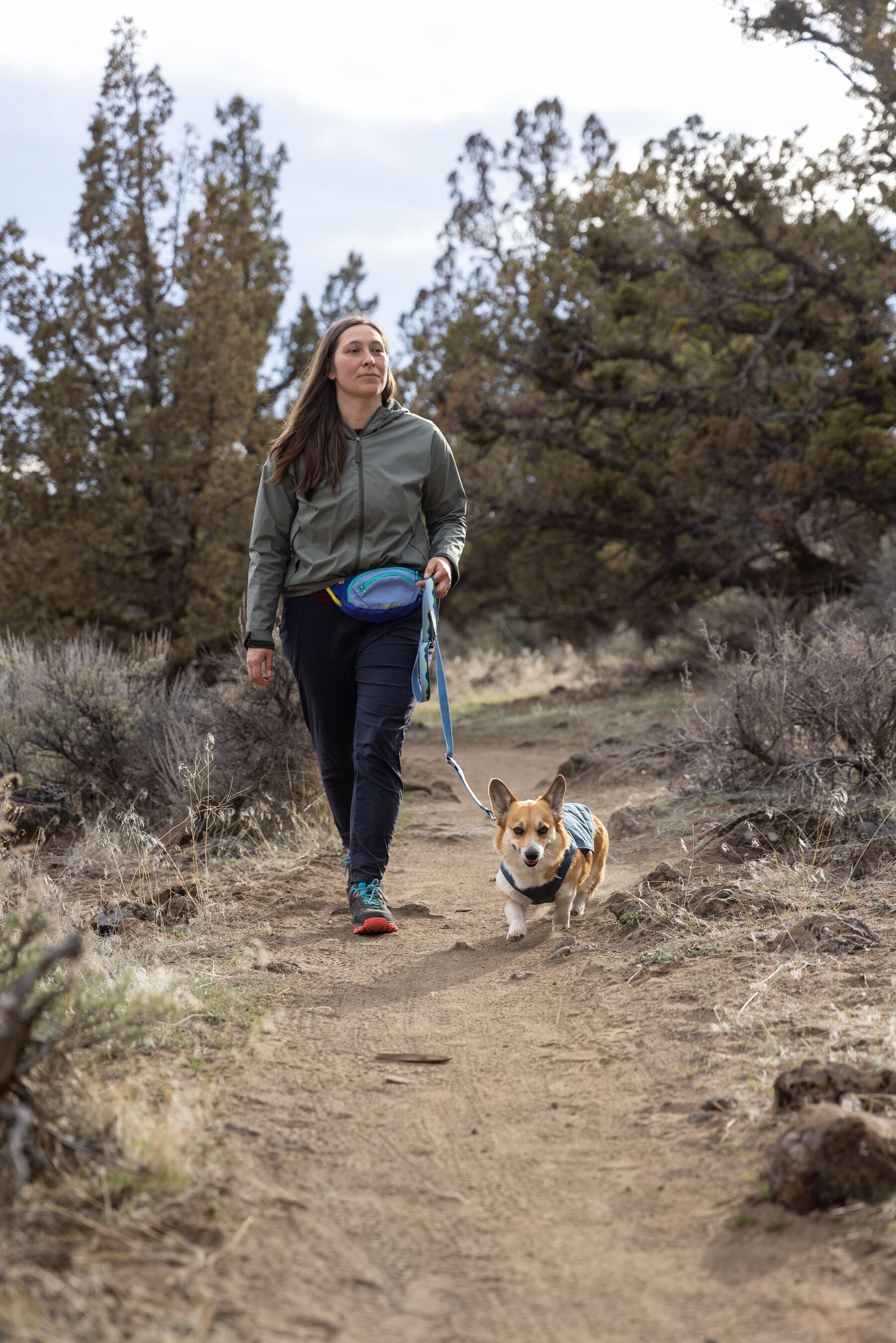 Ruffwear Stumptown Jacket™ Dog Coat - Orion Blue Waterproof & Windproof Dog Jacket for Outdoor Adventures, Hiking, and Cold Weather Protection