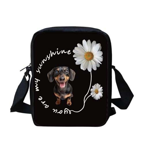 Daisy Dachshund