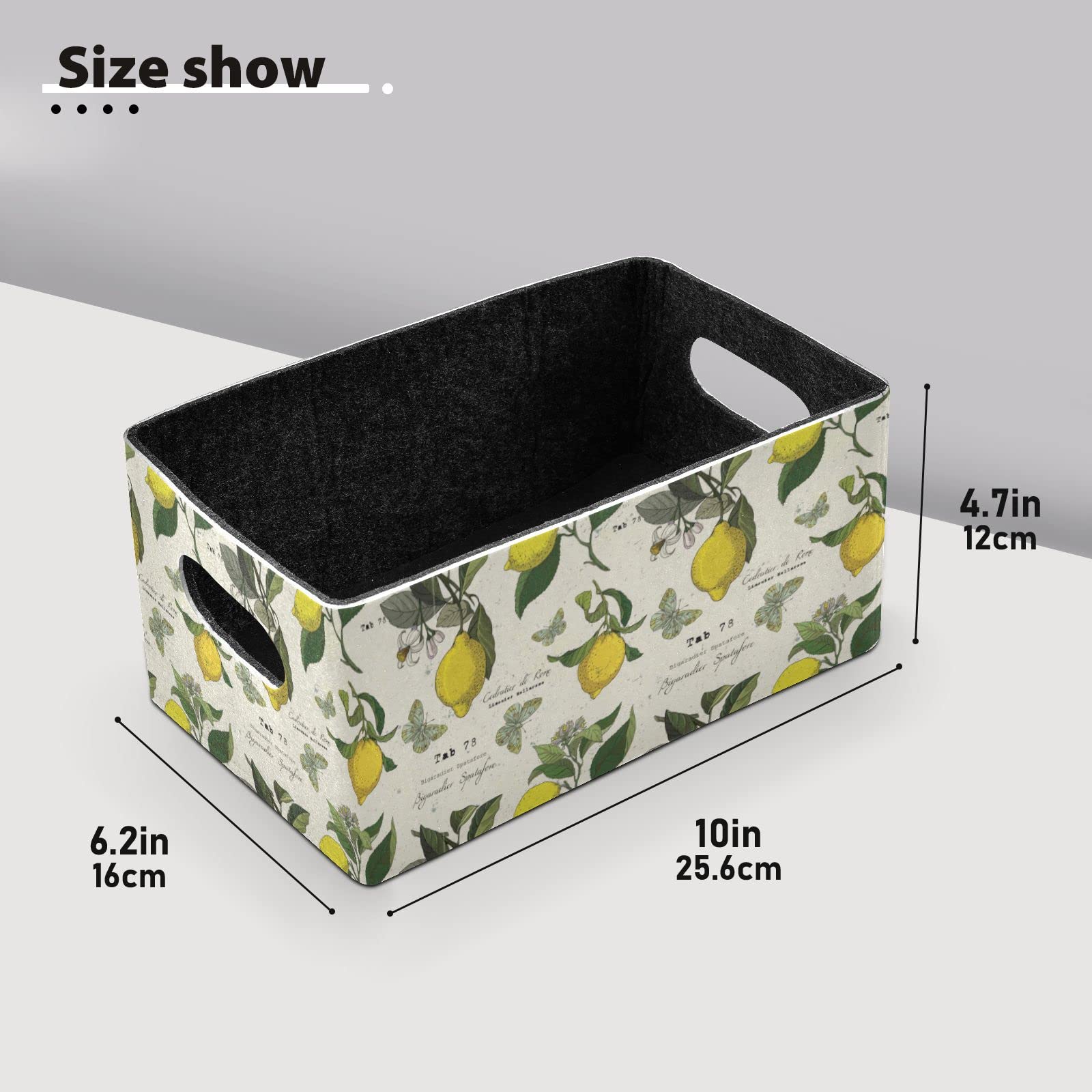 SHJI 2-Pack Lemon Branch Folding Felt Storage Baskets - Collapsible Clothes Hamper & Organizer for Shelves, Closet, Nursery | Space-Saving Home Storage Solution for Toys, Laundry & Wardrobe Organization