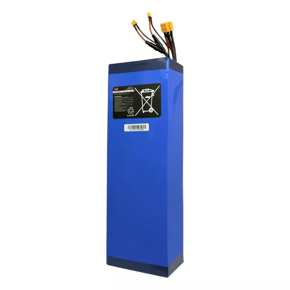 60V 24Ah Samsung Lithium Battery for Mantis King GT Electric Scooter - Long Range Power Replacement for Commuting & Off-Road Riding