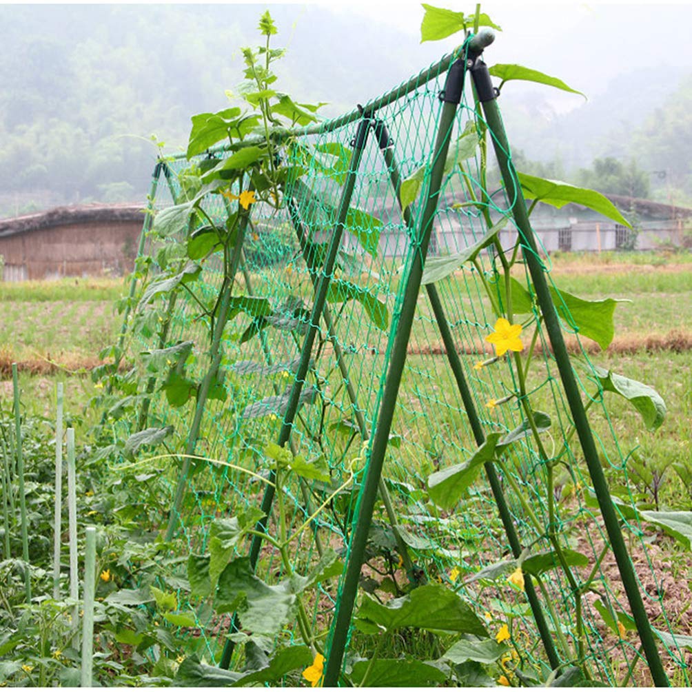 Premium Garden Netting for Fruits & Vines - Durable Climbing Plant Support Mesh for Petunias, Vegetables & More - Perfect for Vertical Gardening, Trellis Systems & Plant Protection