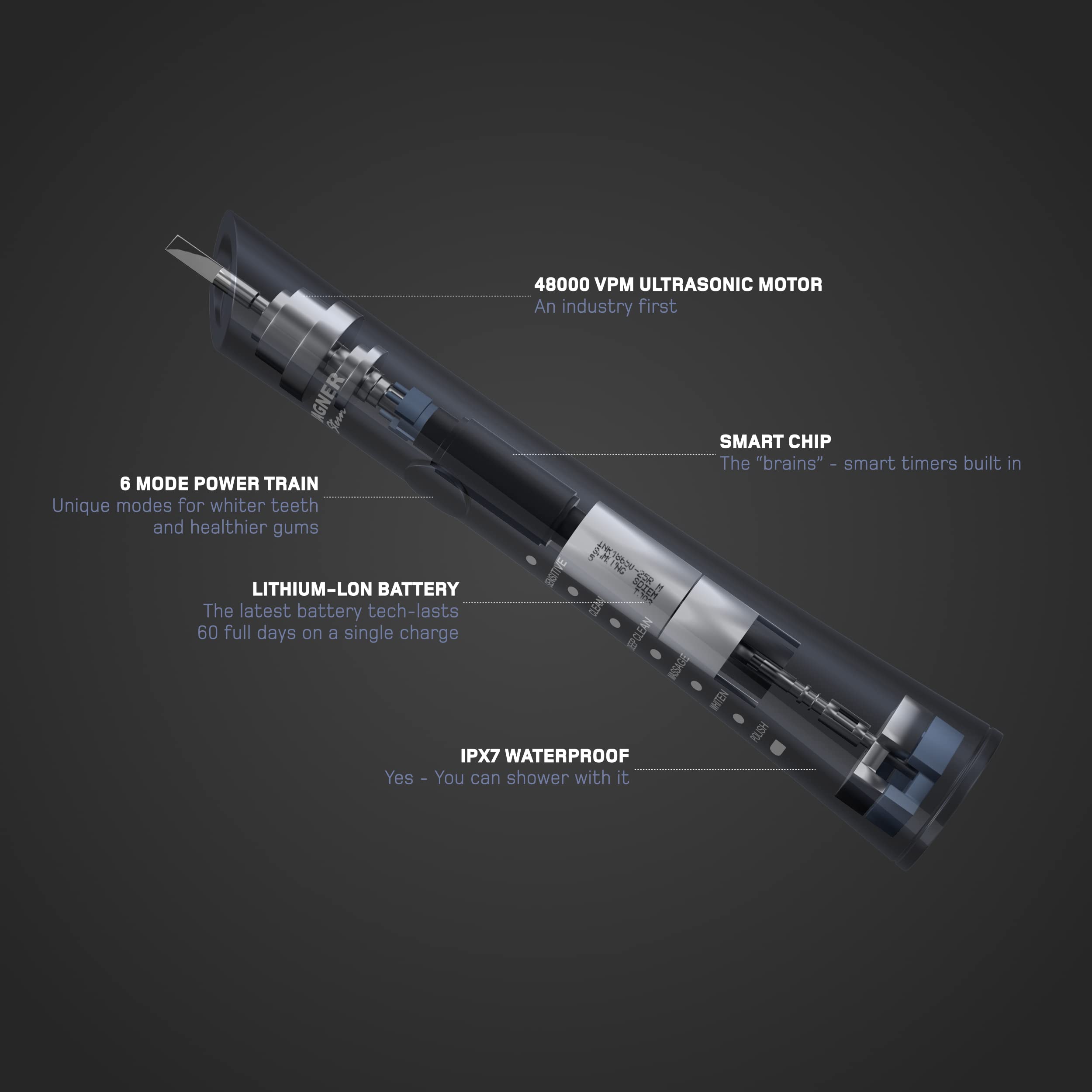 Wagner Stern Ultrasonic Whitening Electric Toothbrush with 8 Charcoal Black Brush Heads - Fresh Breath & Healthy Smile - Perfect for Travel, Home, and Daily Oral Care (Charcoal)