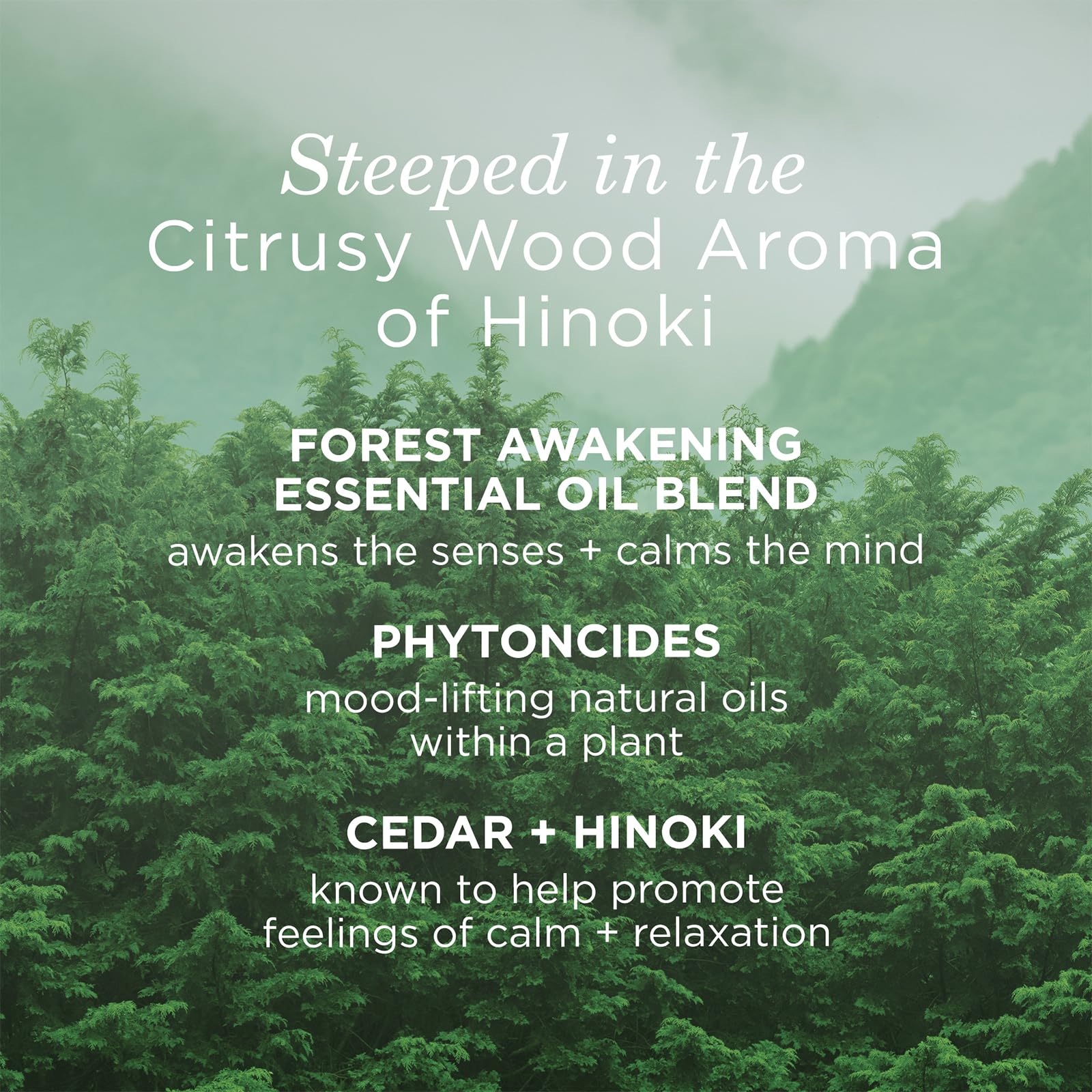TATCHA Forest Awakening Hinoki Body Oil - Fast Absorbing Silky Moisturizer for Dry Skin (100ml/3.4 fl oz) | Hydrating Body Treatment for Massage, Aromatherapy & Daily Skincare Routine