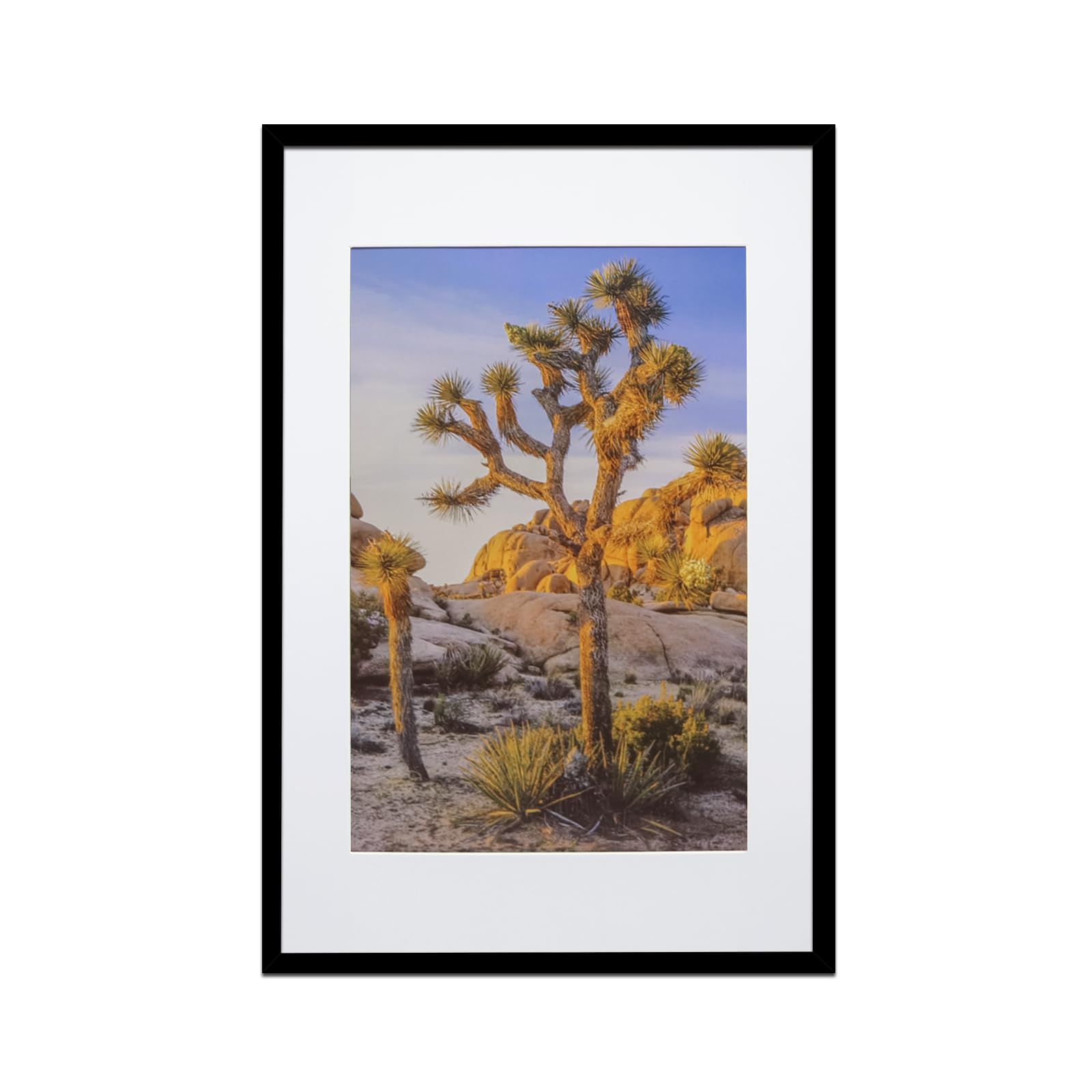 16x24 Black Picture Frame - High Clarity Wall Gallery Frame for 16 by 24 Inch Posters, Photos & Canvas Art - Perfect for Living Room, Bedroom & Office Decor