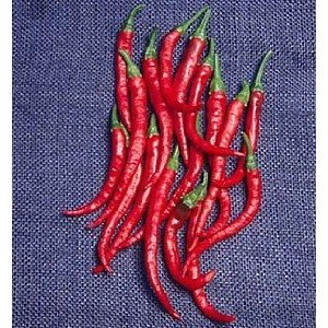 Premium Cayenne Pepper Seeds - Heirloom, Long Slim Variety, Non-GMO, Bulk 5,000 Seeds for Home Gardening, Spicy Cooking & Hot Sauce Making