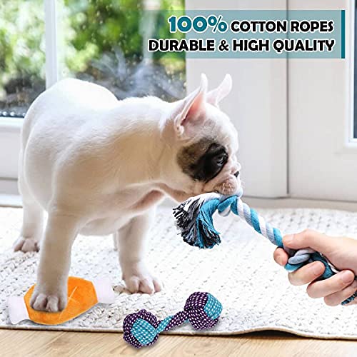 Best Dog Teething Toys for Puppies - 6 Pack Assorted Chew Toys for Small & Medium Dogs - Relieves Teething Pain & Anxiety - Perfect for Training, Playtime & Dental Health