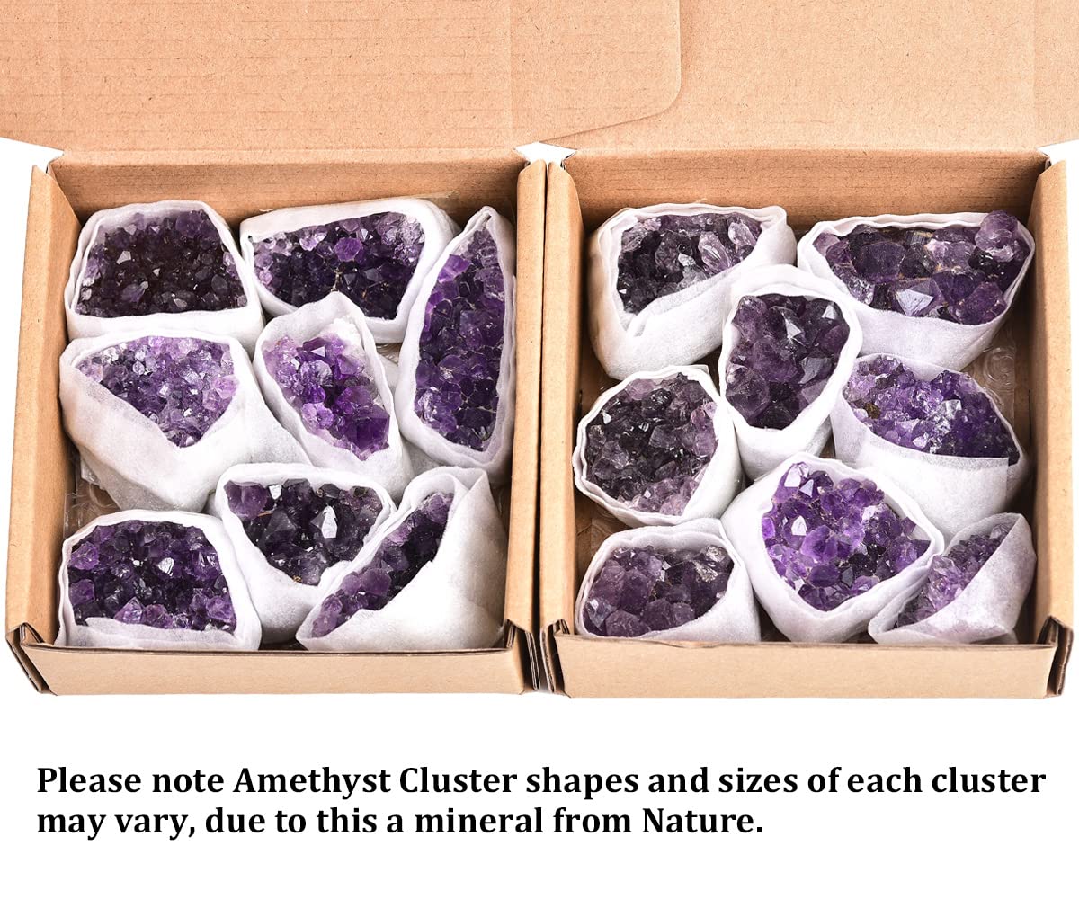 Natural Raw Amethyst Geode Clusters - 1.1 Lbs Purple Healing Crystals for Meditation, Reiki & Home Decor (1-2 Inch) | JIC Gem Witchcraft Specimen & Spiritual Stone Collection