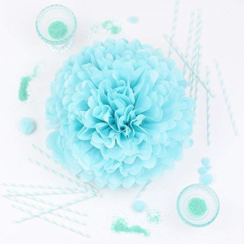 HappyField 12PCS 10” & 12” Pink Blue White Tissue Paper Pom Poms - Gender Reveal Party Decorations, Baby Shower Decor for Boy or Girl, Bridal & First Birthday Party, Wedding Decorations - Perfect for Baby Showers, Gender Reveals, Birthday Parties & Wedding Receptions