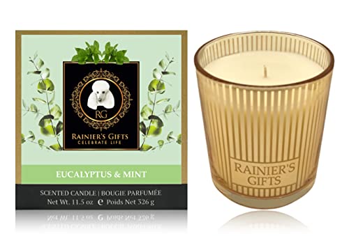 Eucalyptus Mint Scented Candle - Aromatherapy 11.5oz, 55-65h Burn for Relaxation & Home Spa