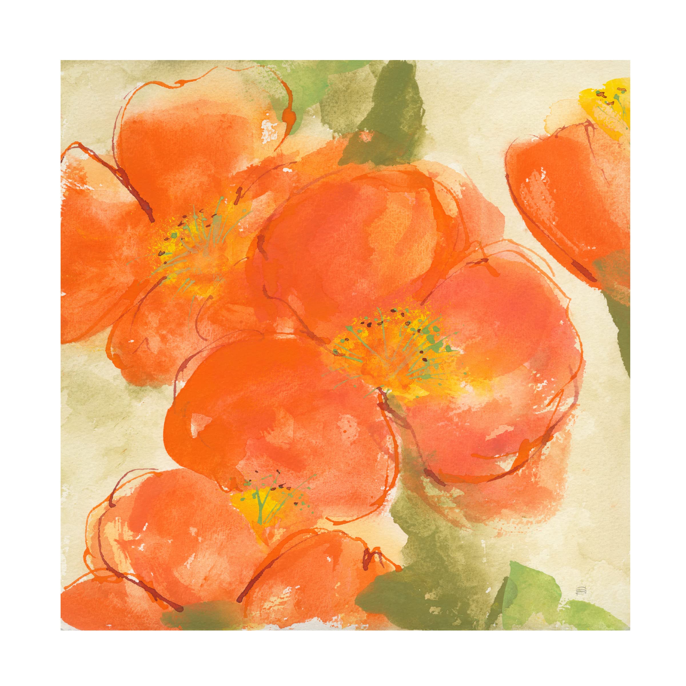 Chris Paschke 'Tangerine Poppies I' Floral Canvas Wall Art - Hand-Painted Modern Home Decor for Living Room, Bedroom & Office