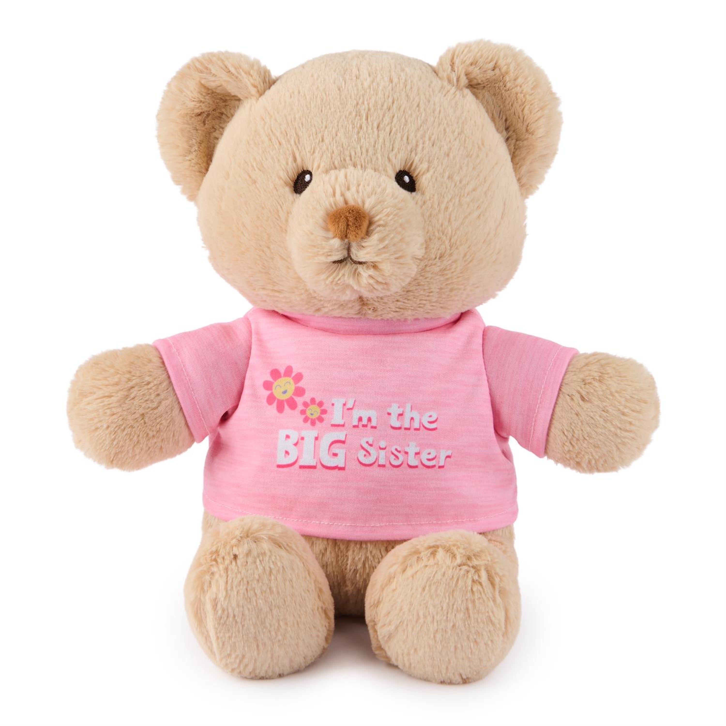 Cuddles & Cookies Gift Box - Premium Cookie Gift Set for Holidays, Birthdays & Special Occasions - Perfect for Christmas, Valentine's Day & Corporate Gifting (SKU: BBC322)