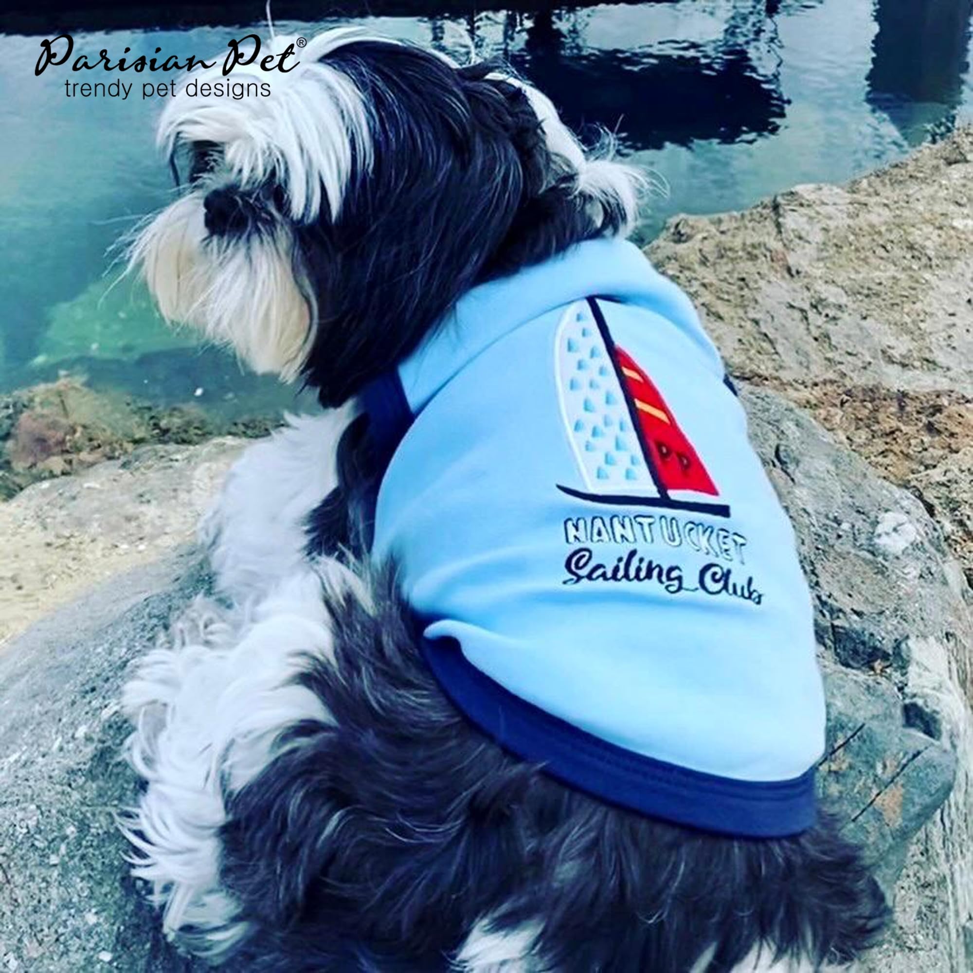 Parisian Pet Dog T-Shirt | Embroidered 