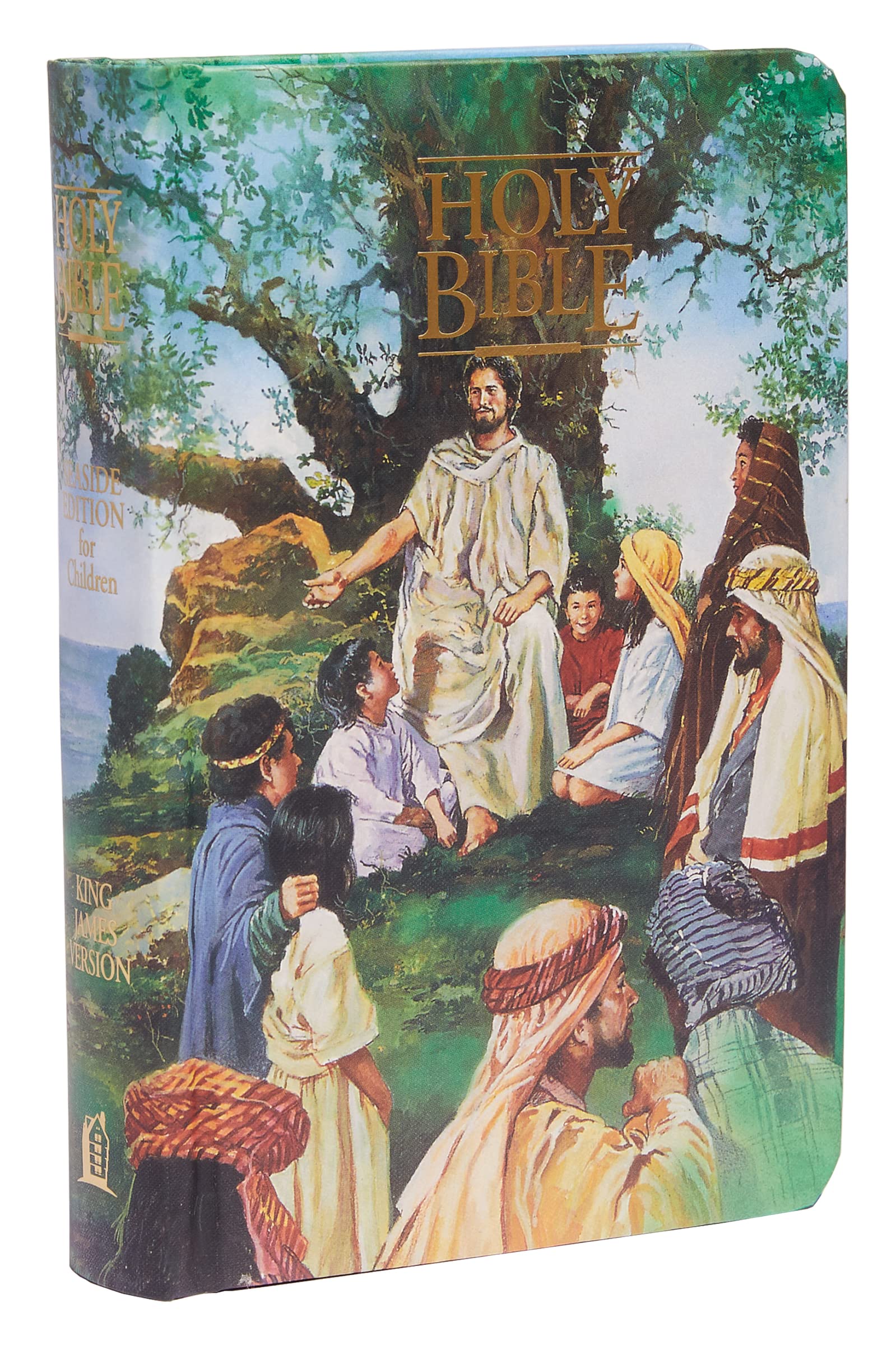 KJV Classic Children's Bible - Seaside Edition with Full-Color Illustrations | Hardcover King James Version Holy Bible (KJV-110) | Perfect for Sunday School, Bedtime Stories & Christian Family Gifts
