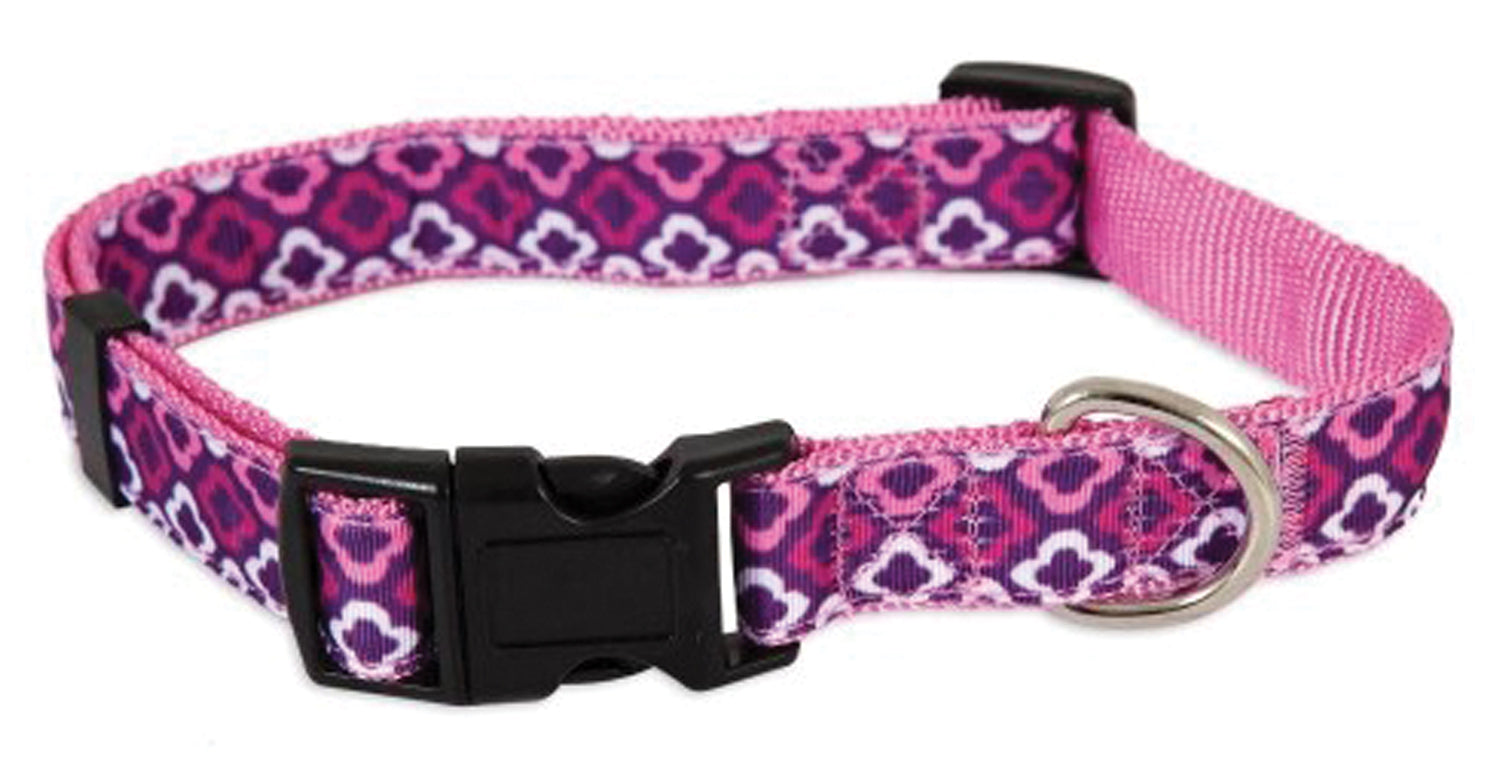 Aspen Pet Dog Collar - 1