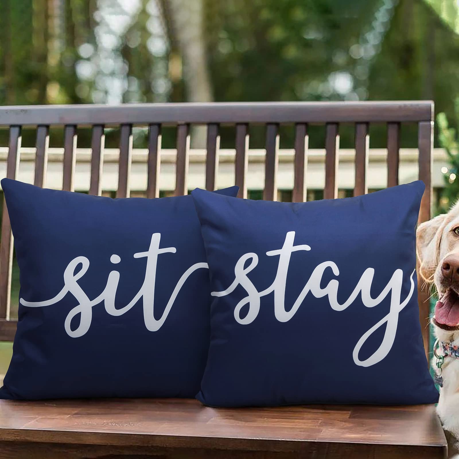 Pyonic Set of 2 Waterproof Outdoor Throw Pillow Covers - 18x18 Inch Square Decorative Cushion Covers for Patio, Garden, Living Room & Couch (Navy Blue) | Weather-Resistant & Stylish Home Decor