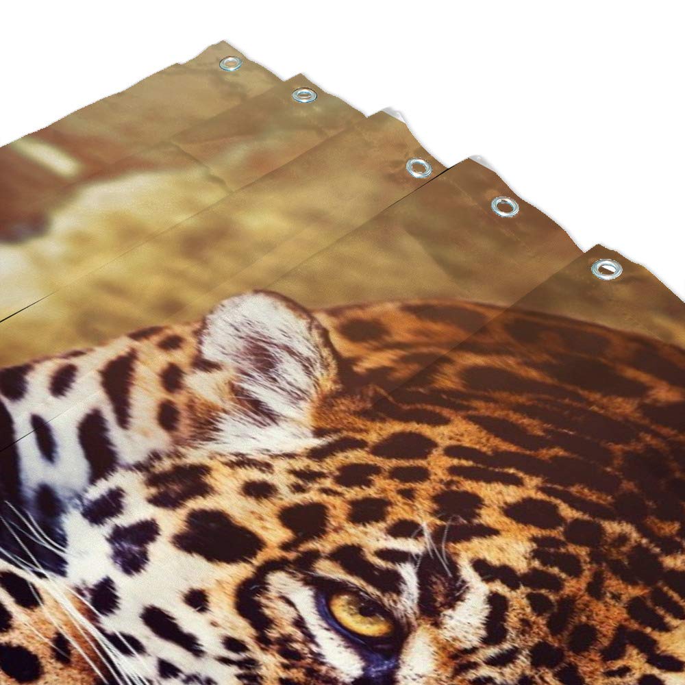 Leopard Print Shower Curtain 72x72 Inches - Waterproof Polyester Bathroom Curtain with Hooks - Jungle Animal Theme for Modern Bathroom Decor (Perfect for Home, Apartment, and Hotel Use)