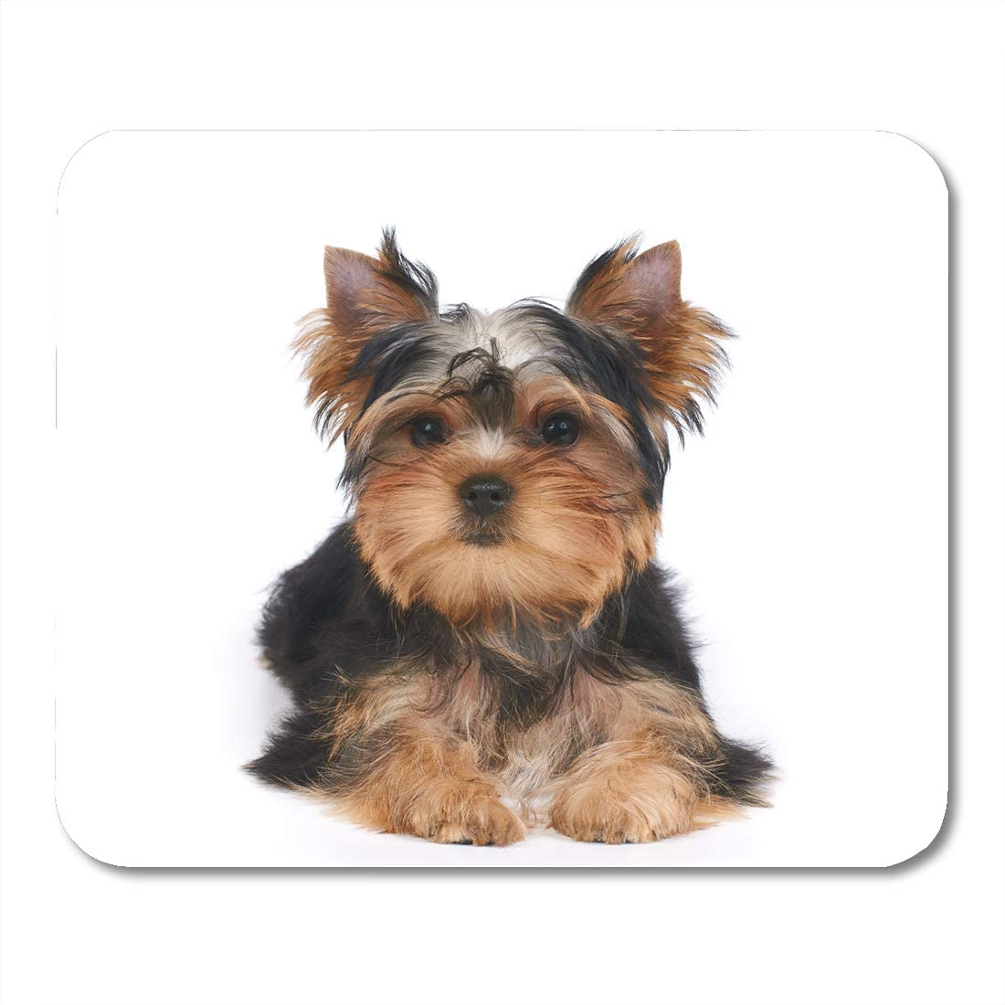 Emvency Yorkie Mouse Pad - 9.5