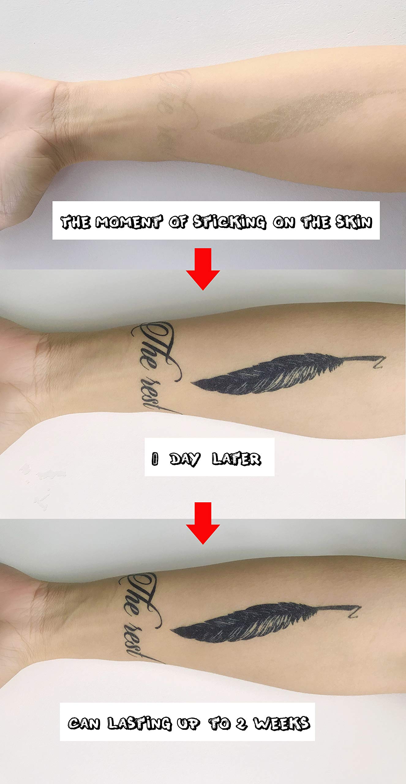 Long Lasting Semi-Permanent Tattoos - 6 Sheets Plant-Based Ink Fake Shark Tattoo Stickers | Waterproof, 2 Weeks Wear for Adults, Men, Women, Girls & Kids | Perfect for Parties, Halloween, Cosplay & Summer Beach Fun