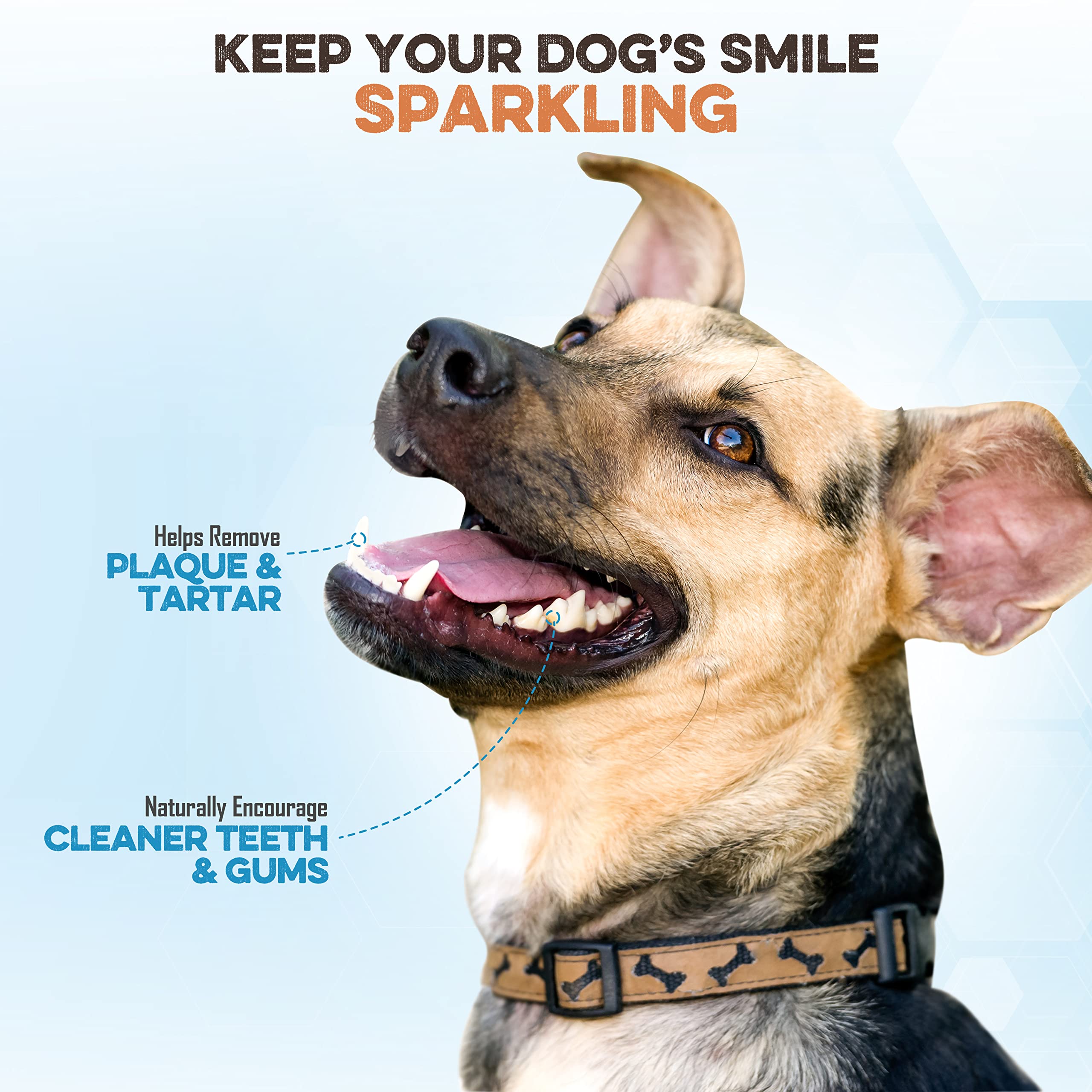BRUTUS & BARNABY Grass Fed Bully Sticks for Dogs - Fully Digestible Natural Beef Dog Chews, Grain Free, Rawhide Free, Small Batch Freshness & Low Odor | Perfect for Puppy Teething, Training Treats & Long-Lasting Dental Health
