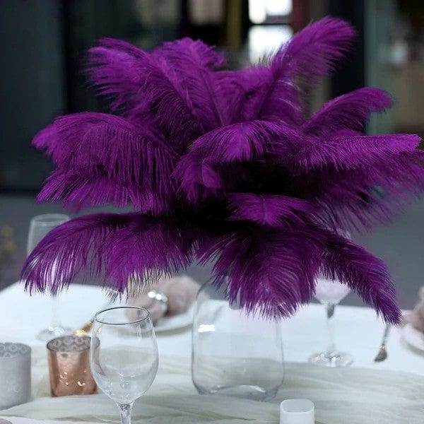 12 Pcs 10-15 Inch Genuine Ostrich Feathers for DIY Crafts, Wedding Decorations, and Costume Accessories