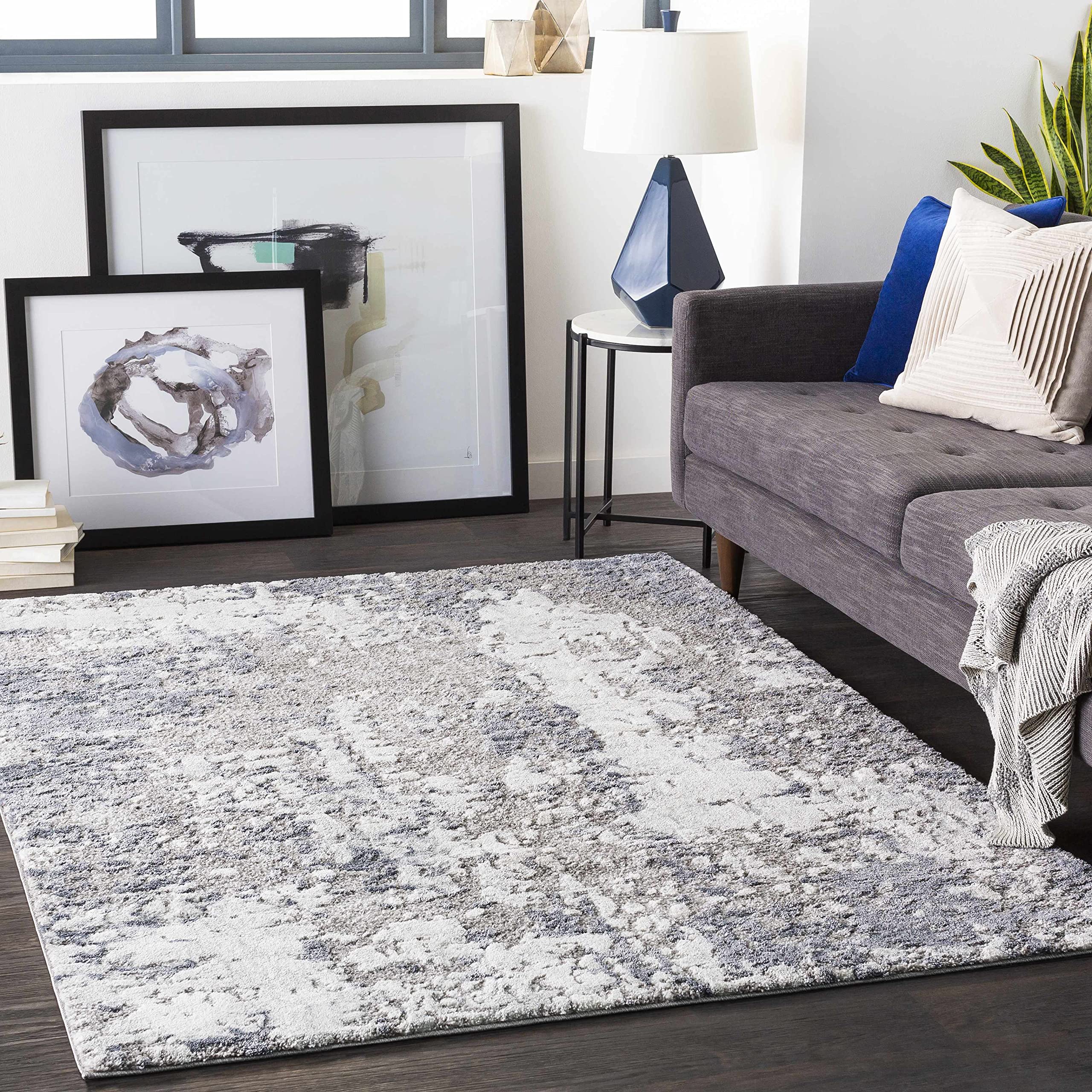 Hauteloom Walhonding Modern High Pile Area Rug - 5'3