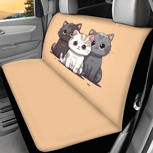1 Cute Kittens Cat