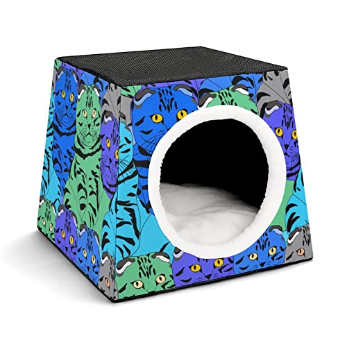 Color9