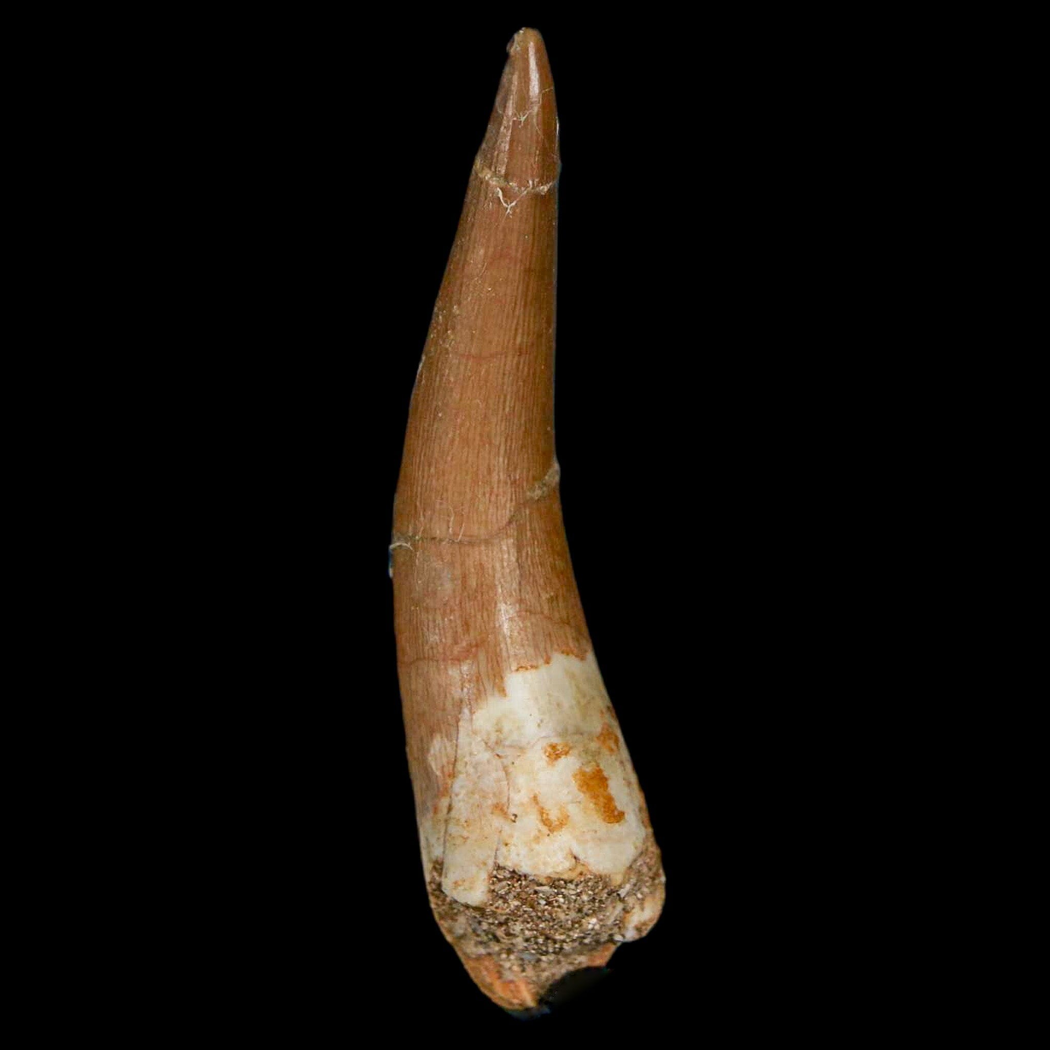 XL 2.2