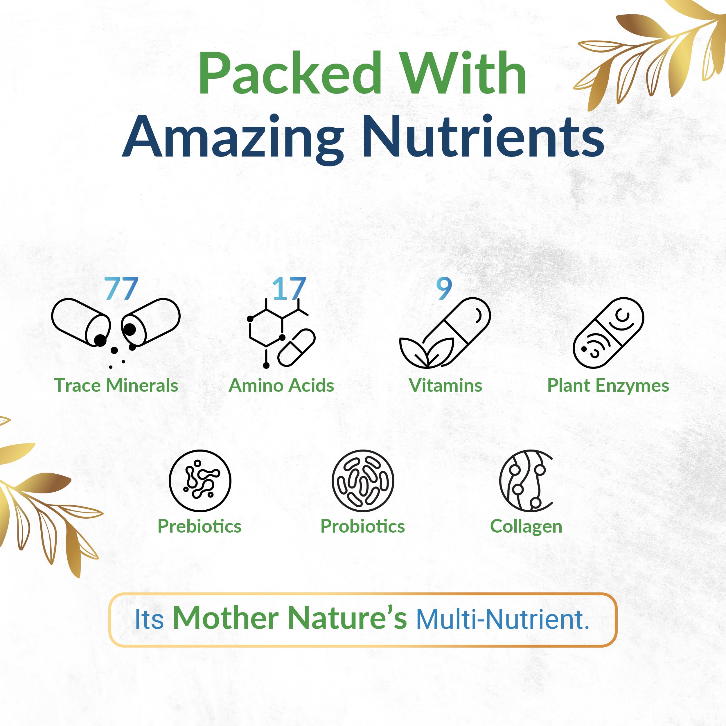 Premium Humic Fulvic Acid Supplement with 77 Trace Minerals & Electrolytes - Supports Energy, Gut Health, Joint Function & Nutrient Absorption - 60 Vegan Capsules - Ideal for Active Lifestyles & Wellness Routines
