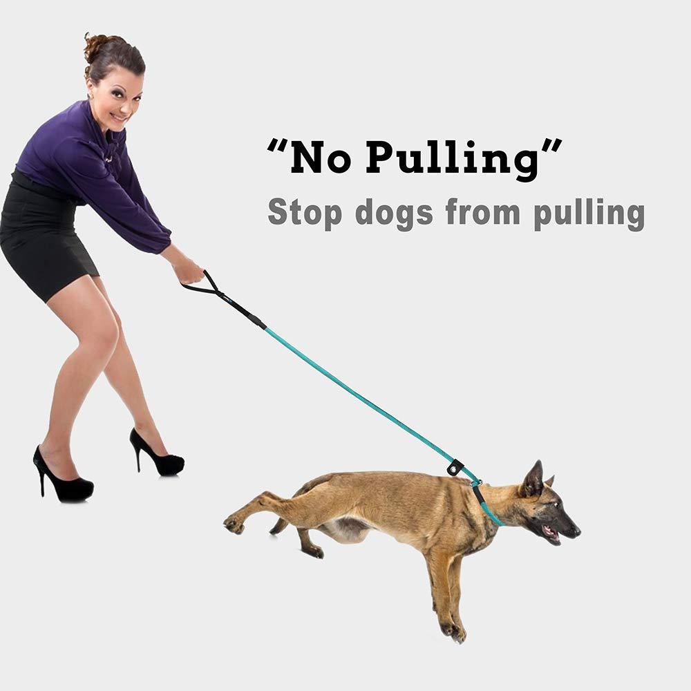 **6FT Reflective Slip Lead Dog Leash - Heavy Duty Training Rope for Large & Medium Dogs, Strong Pull Resistance - Perfect for Walking, Hiking & Outdoor Adventures**