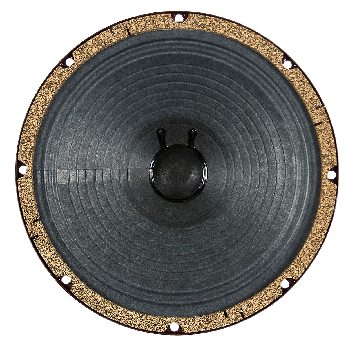 EDUPET G10C 10 Inch 75W American Vintage Guitar Speaker 8 Ohm - Perfect for Blues, Rock & Vintage Tone Guitar Amplifiers & Cabinets