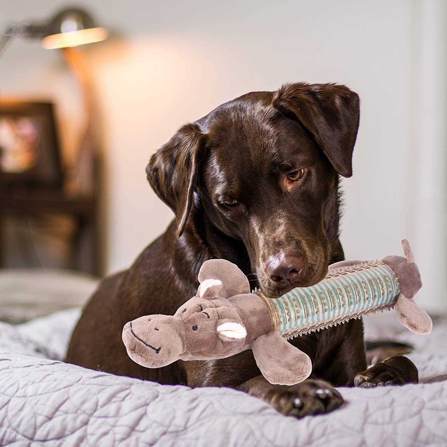 **3 Pack Plush Squeaky Dog Chew Toys – Indestructible & Durable Puppy Chew Toys for Small & Medium Dogs – Natural Material Dental Care Dog Toothbrush Toys (Brown) – Perfect for Teething, Playtime & Dental Health**