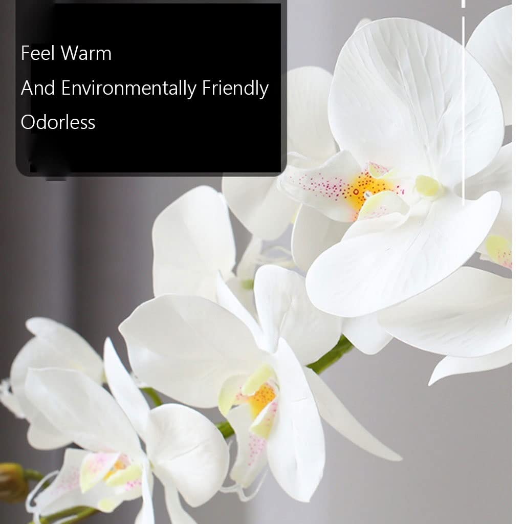 Large Artificial Silk Moth Orchid Flowers in Clear Glass Vase - Real Touch Phalaenopsis Arrangement (White) - Perfect for Home Decor, Wedding Centerpieces & Office Elegance