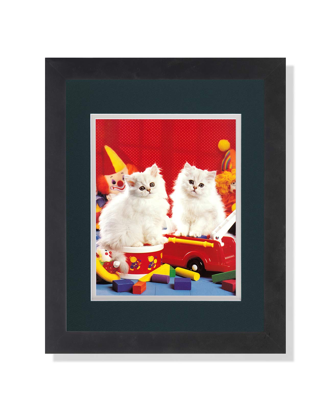 Two White Persian Kitten Cats Sitting on Toy - Framed Wall Art Print for Home Decor | Perfect for Living Room, Bedroom & Nursery