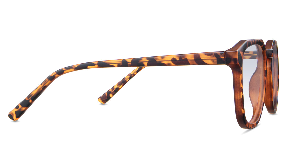 Reign Women's Prescription Tinted Glasses - Fashionable Eyewear for Women with Vision Correction | Perfect for Reading, Driving & Outdoor Activities
