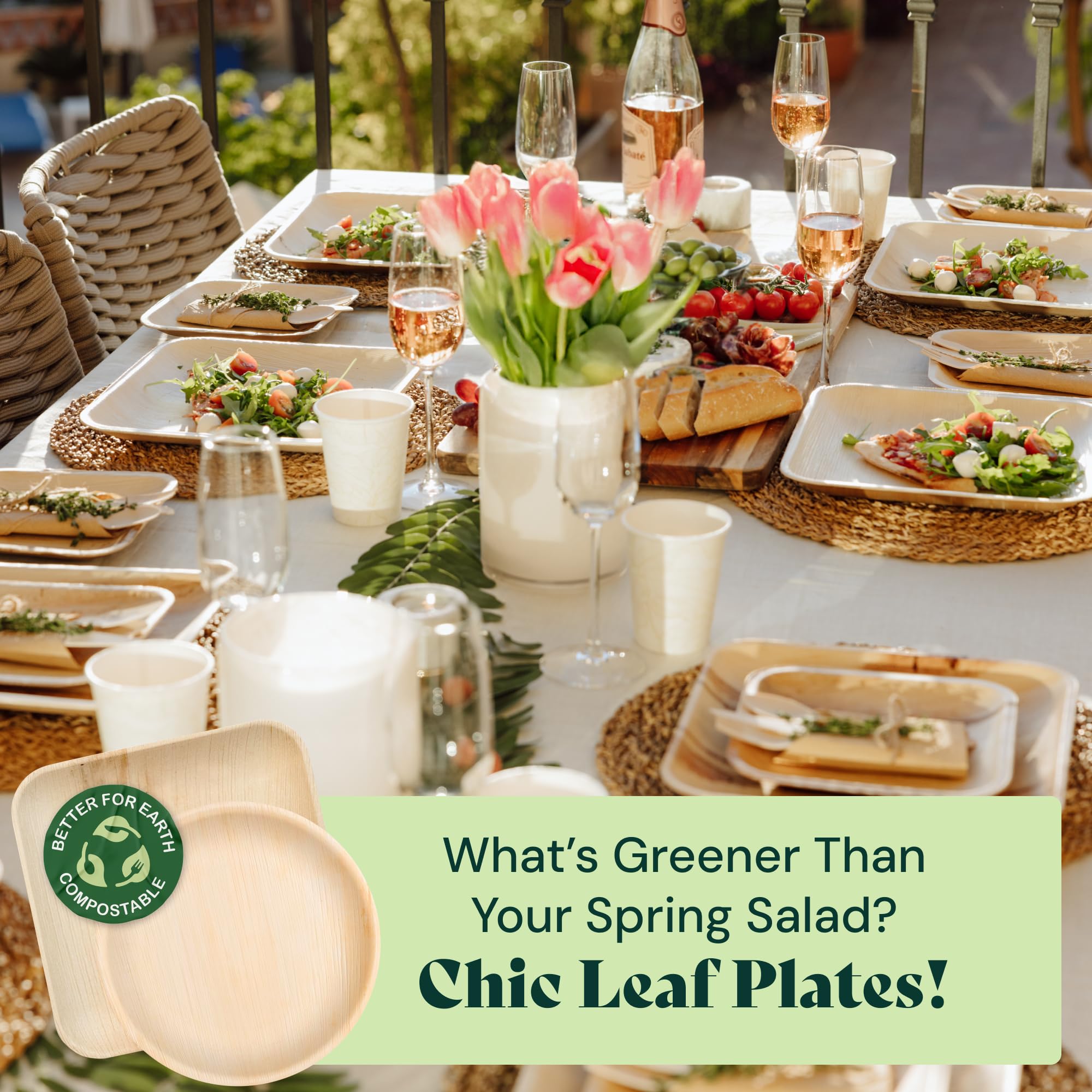 Eco-Friendly Compostable Palm Leaf Plates - 50 Pack 4