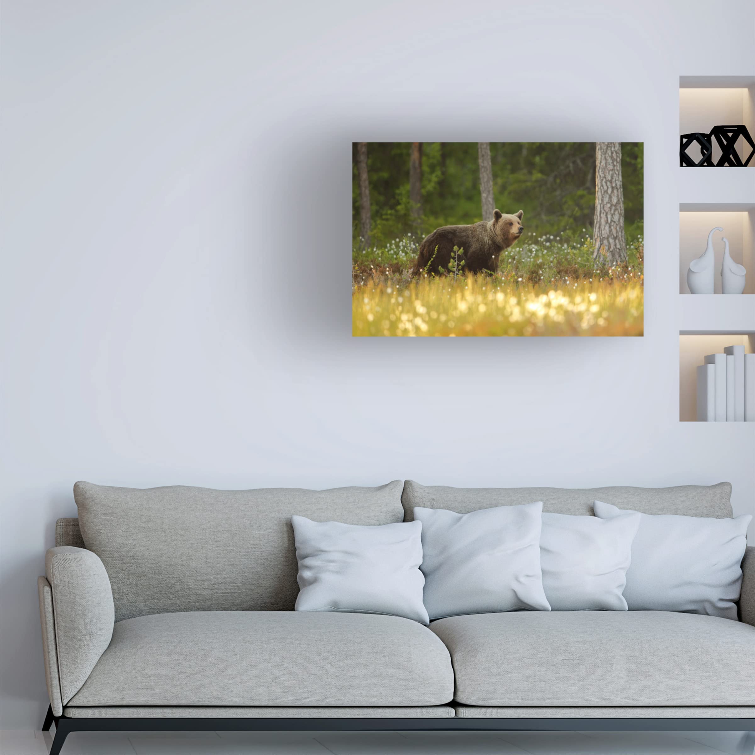 Trademark Fine Art 'Brown Bear' Canvas Art by Assaf Gavra - Premium Wildlife Home Decor for Living Room, Bedroom & Office