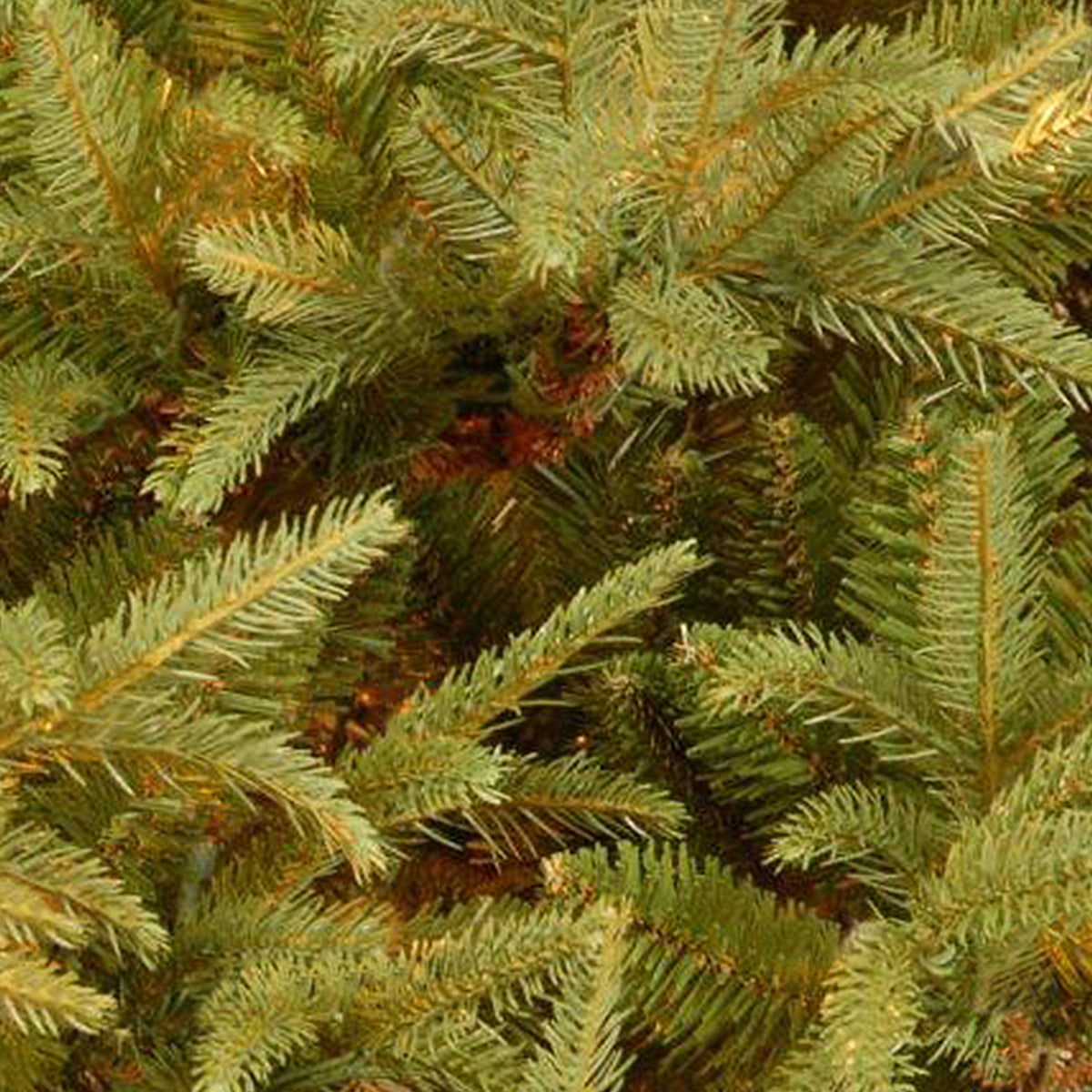 7.5 ft. Fraser Fir Christmas Tree - Premium Artificial Holiday Tree with Realistic Needles & Sturdy Stand | Perfect for Living Room, Office, or Holiday Decorations