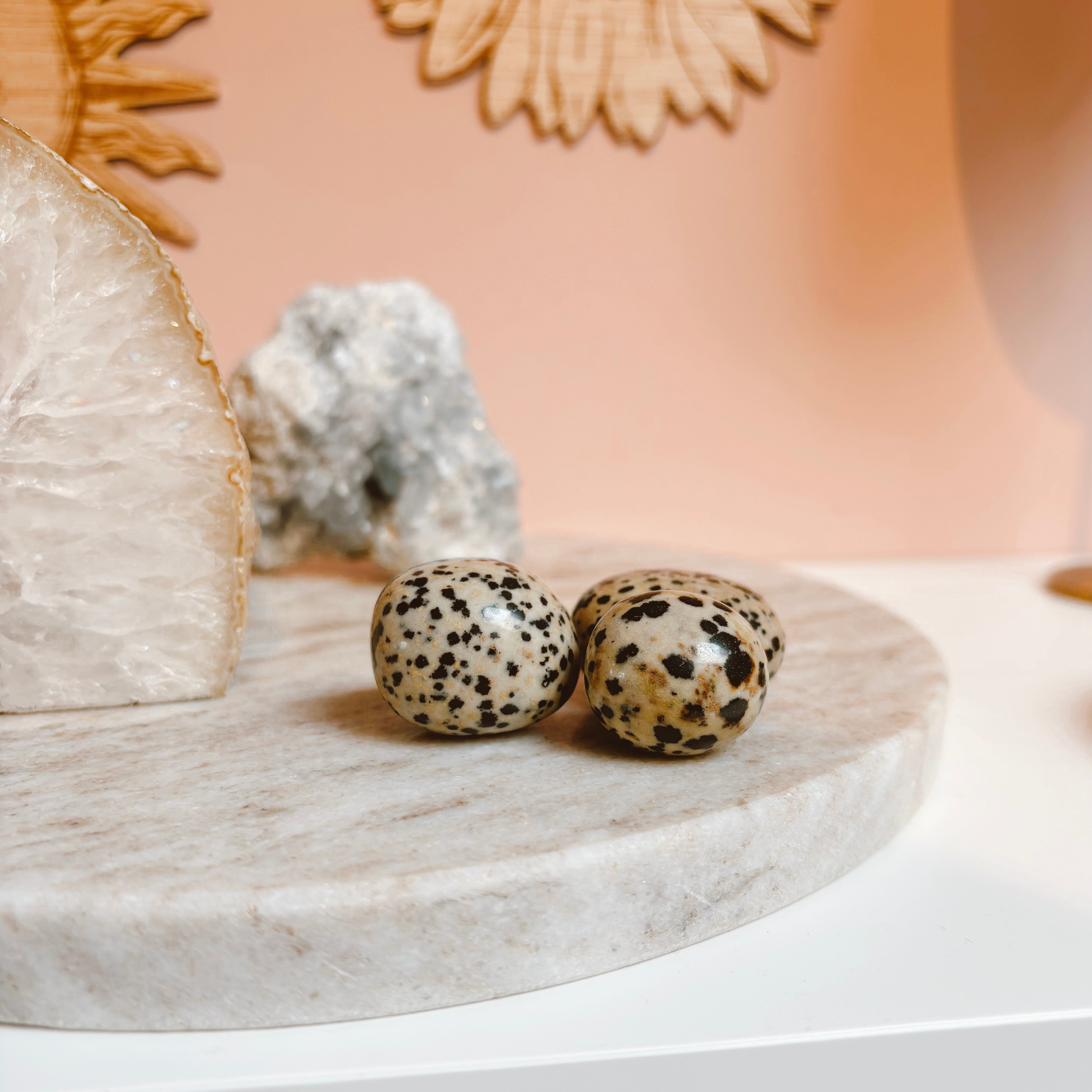 Dalmatian Jasper Stone - Natural Healing Crystal for Meditation, Stress Relief & Home Decor | Perfect for Jewelry Making, Spiritual Gifts & Energy Work