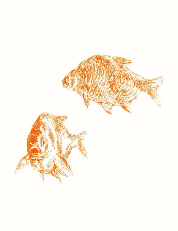 Nathan Turner White 'Goldfish' Wallpaper - Elegant Peel and Stick Wallpaper for Living Room, Bedroom, and Nursery Decor