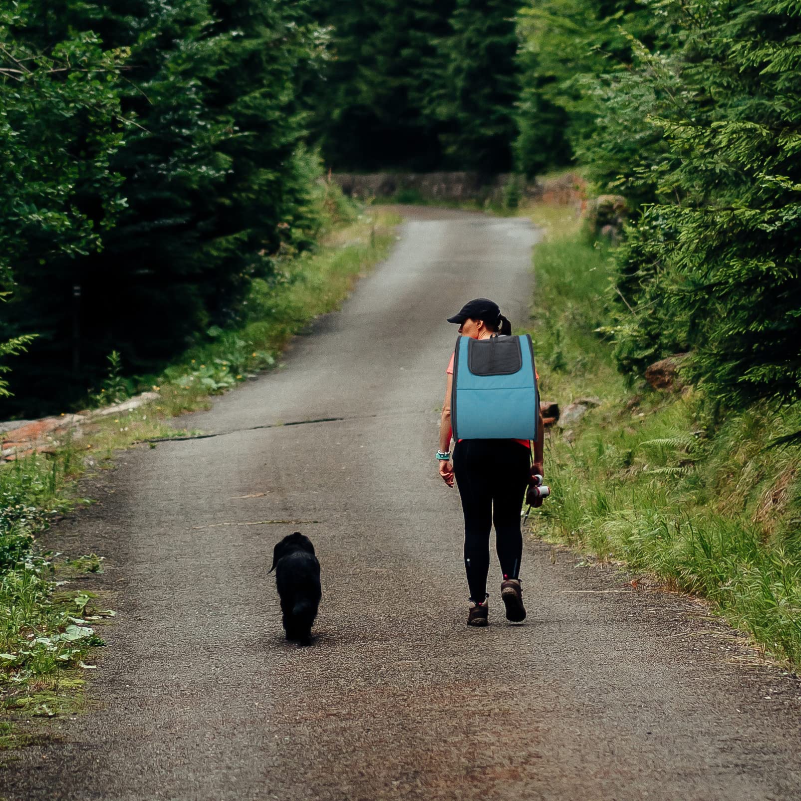 BESPORTBLE Foldable Cat & Dog Backpack Carrier - Ventilated Pet Travel Backpack for Hiking, Airplane, Outdoor Adventures