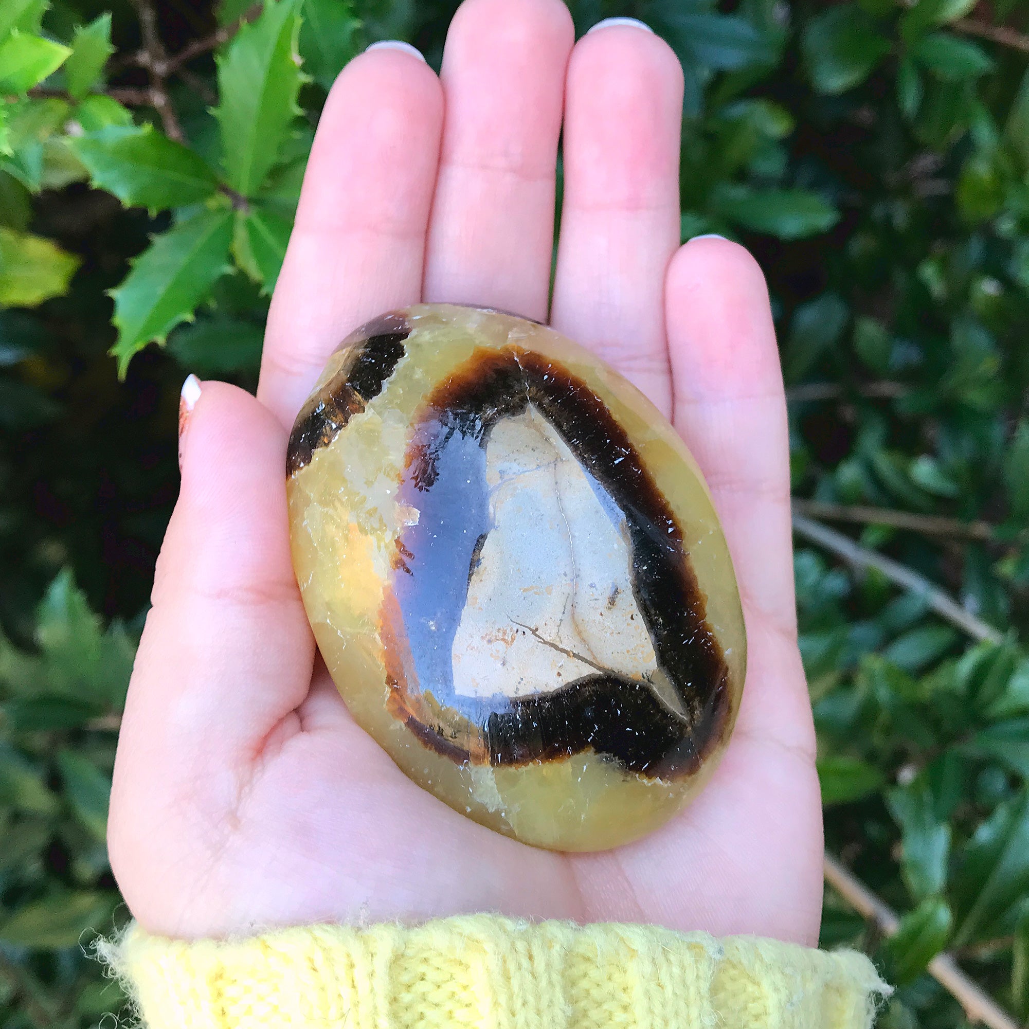 Natural Polished Septarian Palm Stone - Yellow Brown Crystal Gemstone for Collectors, Healing, Meditation & Display | Unique Septarian Nodule Collectible Gift for Spiritual Practice, Home Decor & Energy Work (RSH121)