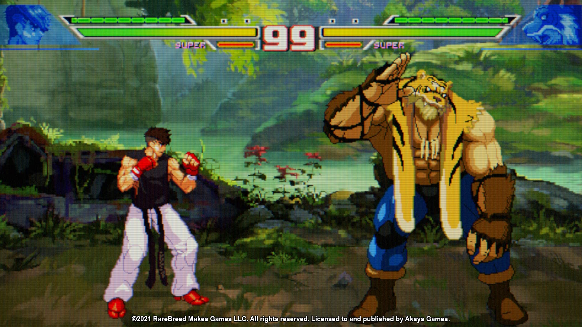 Blazing Strike - PlayStation 4 Standard Edition - Fast-Paced Fighting Game for PS4 - Perfect for Competitive Gaming & Home Entertainment