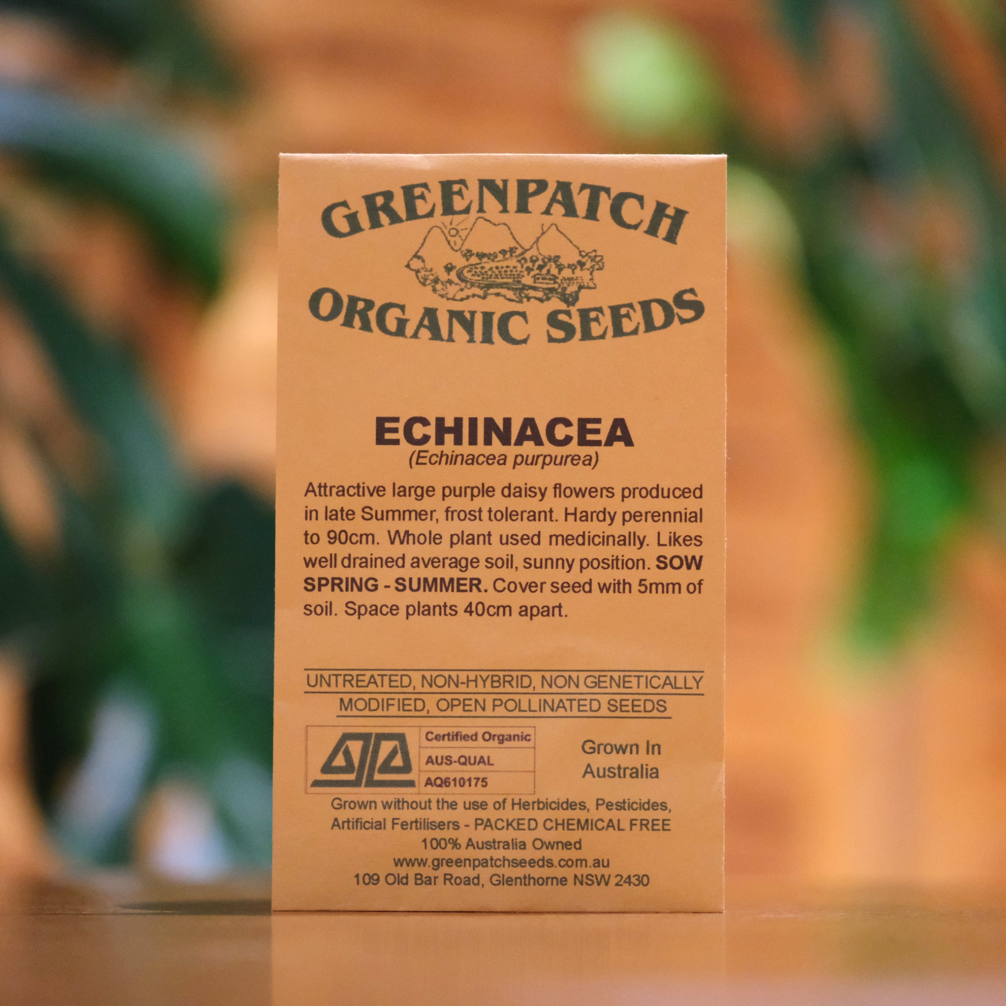 Organic Echinacea Greenpatch Seeds for Planting - Non-GMO, Heirloom, Perennial Flower Seeds for Garden, Landscaping & Pollinator-Friendly Yards