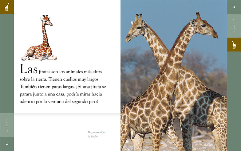 La Jirafa 9781640262614 - Bilingual Children's Book in English & Spanish - Perfect for Early Learning, Storytime, and Classroom Reading