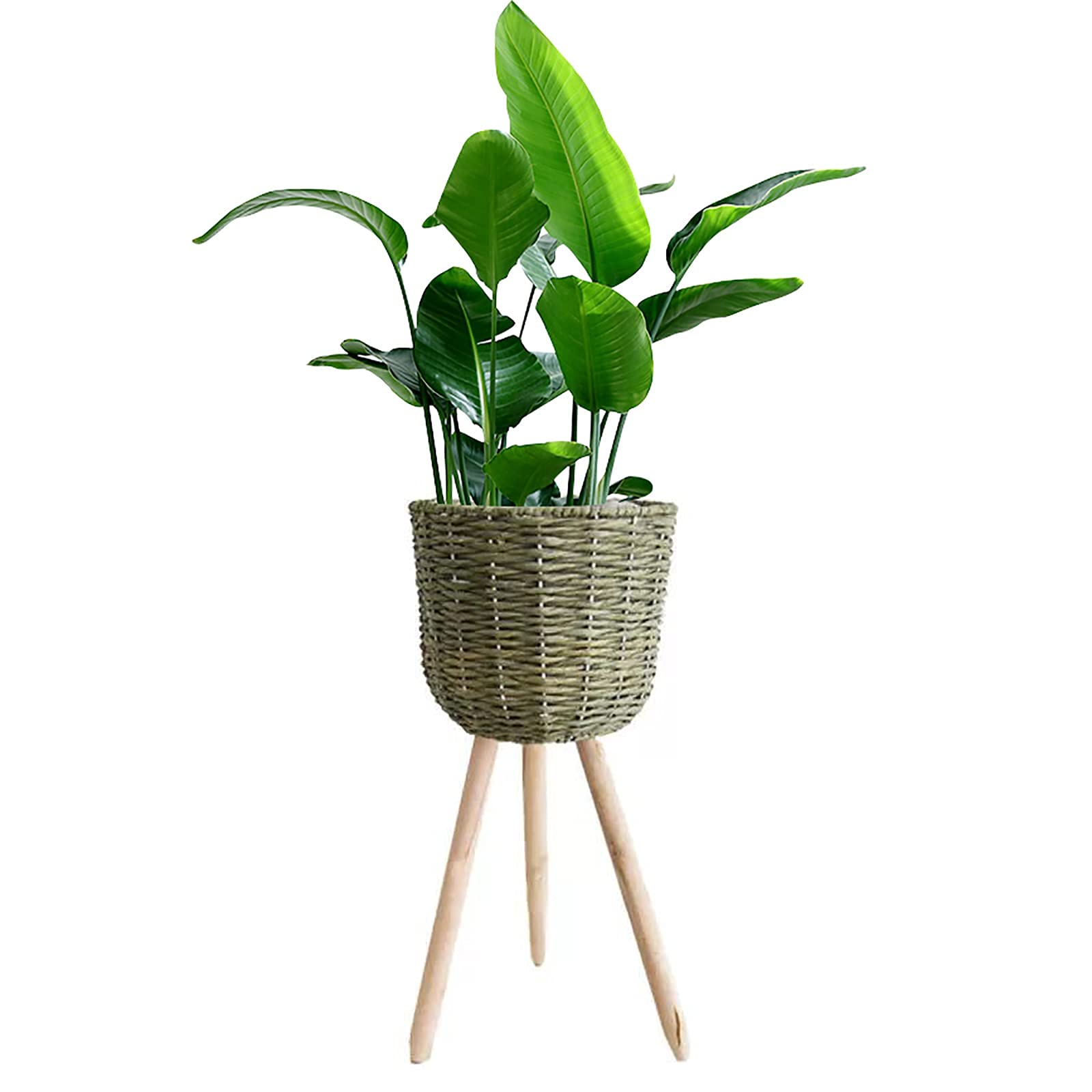 NICETOW Woven Rattan Plant Basket with Stand - Bamboo Floor Planter for Indoor Plants, Green Wicker Flower Pot Holder 54x26x22cm (21x10x9inch) - Perfect for Living Room, Bedroom, Office & Home Decor