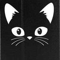 #01 Black Cat