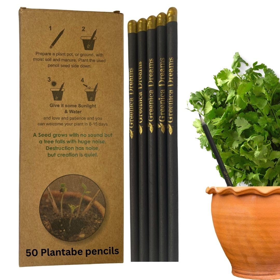 Eco-Friendly Plantable Seed Pencils - 300 Count Black Biodegradable Writing Utensils for Birthday Party Favors, Corporate Gifts & Office Supplies | Sustainable School & Office Use