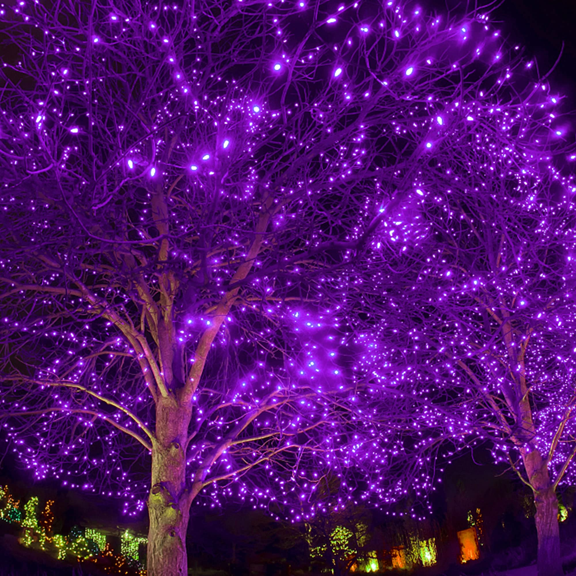 Twinkle Star 300 LED Halloween Fairy String Lights - 99 FT Outdoor Waterproof Plug-in Lights with 8 Lighting Modes | Christmas, Wedding, Party, Patio & Tree Decorations (Purple) | Perfect for Indoor/Outdoor Holiday Decor, Garden Lighting & Special Events