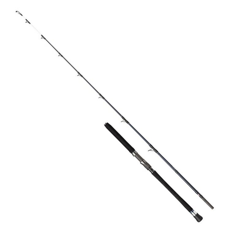 Penn Carnage Halibuster Fishing Rod - Heavy Duty Saltwater Surf Rod for Halibut, Lingcod & Rockfish - Perfect for Surf Casting & Pier Fishing